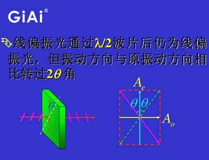 線偏振光原理