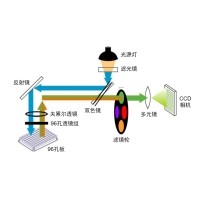 什么是熒光定量PCR、數(shù)字PCR？