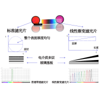 線性漸變?yōu)V光片是什么？有何特點(diǎn)？