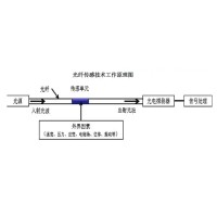 光纖傳感技術(shù)：崔洪亮和他的“中國(guó)夢(mèng)”